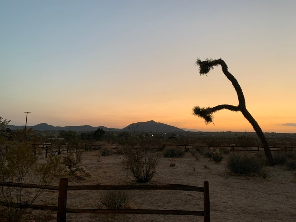 A Slow Getaway in Joshua Tree